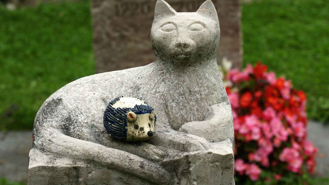 Know-About-the-Cat-Sculpture-on-TheStuffofSuccess