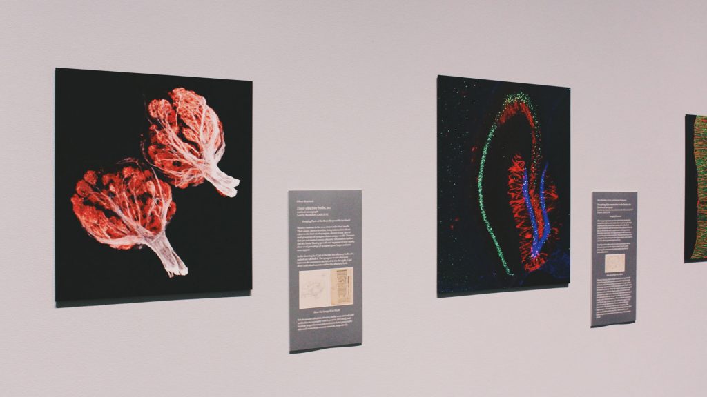 PACS-System-Hospital-&-Medical-Imaging-Center-on-TheStuffofSuccess