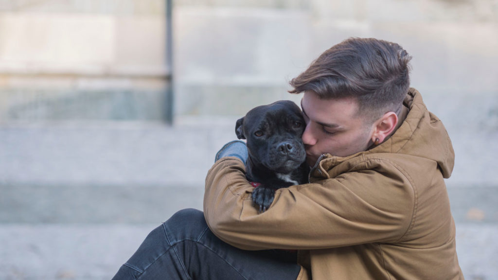 What-You-Need-to-Do-with-Your-Dog-While-You're-Going-Away-on-thestuffofsuccess